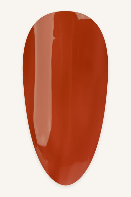 Pumkin Spiece · 505