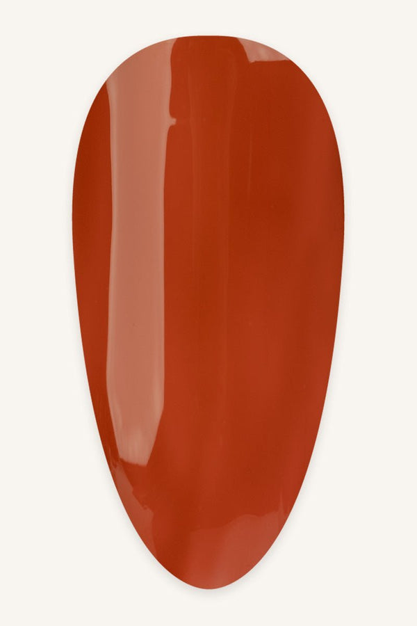 Pumkin Spiece · 505