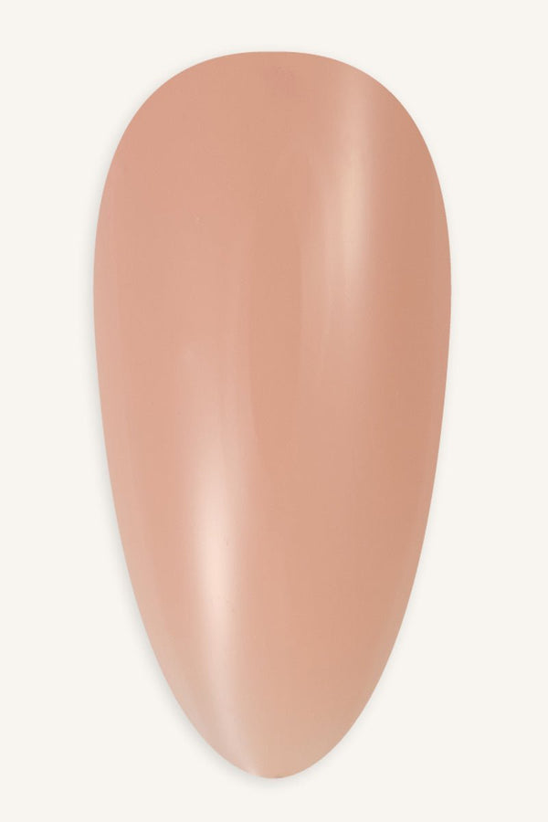 Rubber Base Timeless · 419