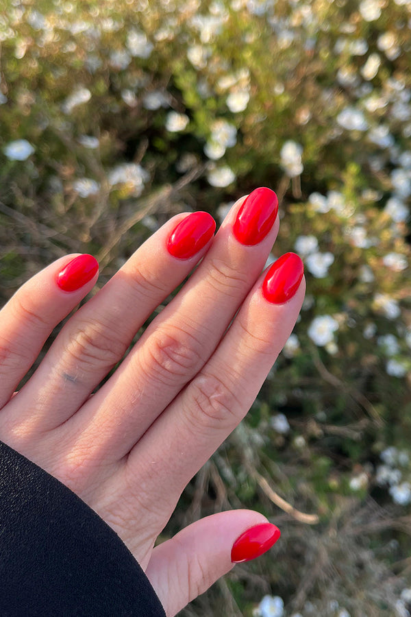 Rosie · 130