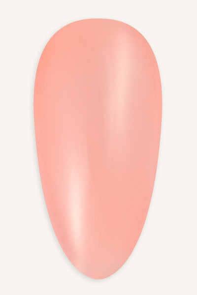 Korall  · 211 - Tip