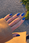 Blueberry · 490