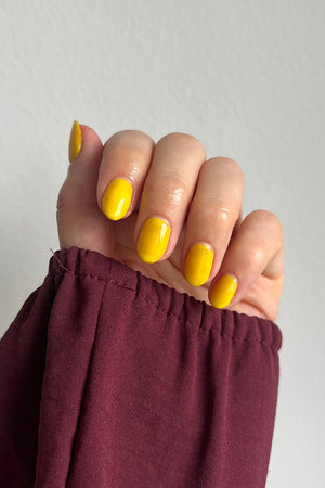 Bright Sunlight · 379