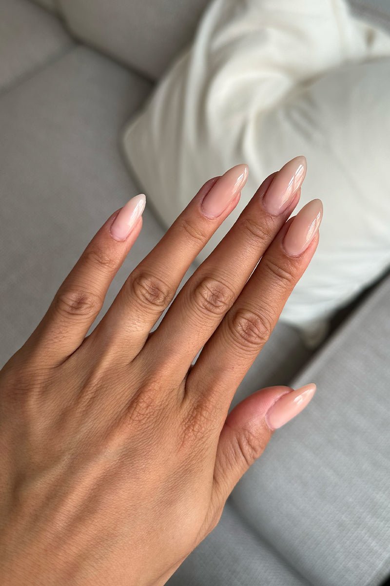 Cashmere Kiss · 475