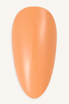 Clay Fire 15ml · 243