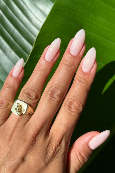 Delicate Shimmer · 477