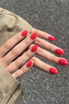 Flamingo 15ml · 15