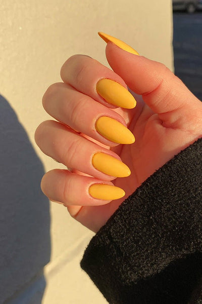 Grass Daisy  · 242 - Hand