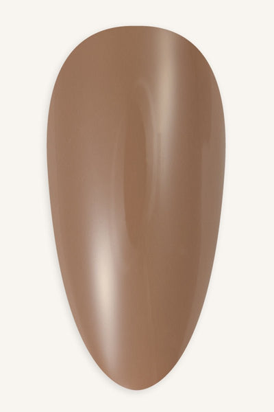 Hazelnut  · 247 - Tip