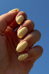 Landscape 15ml · 270