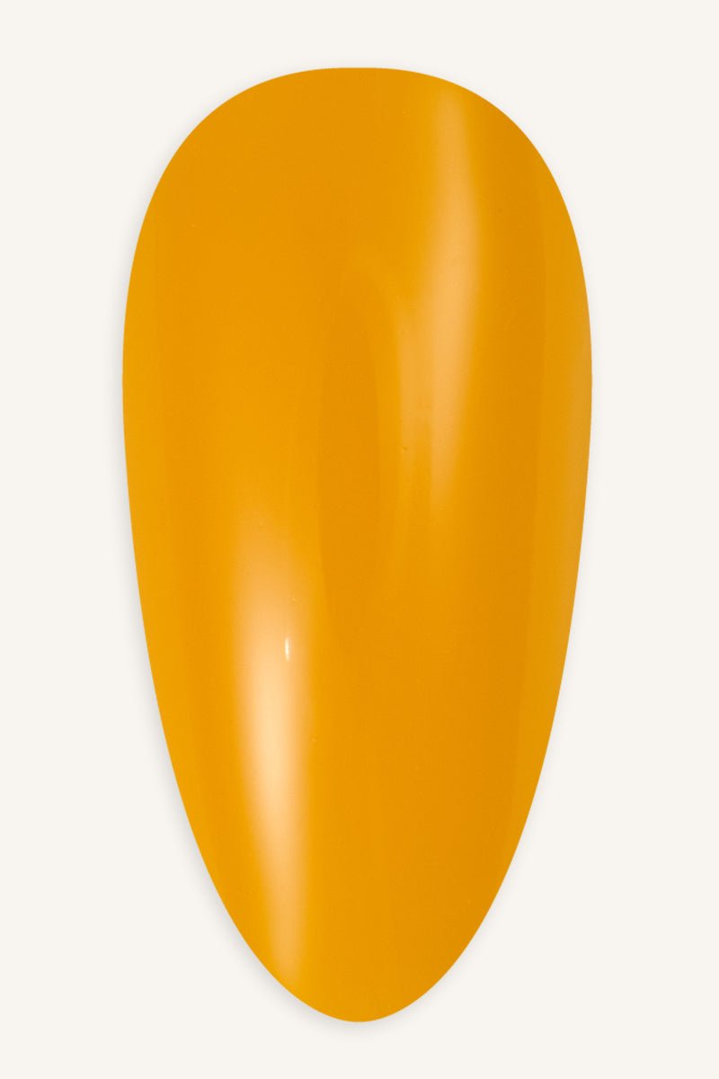Masala · 407