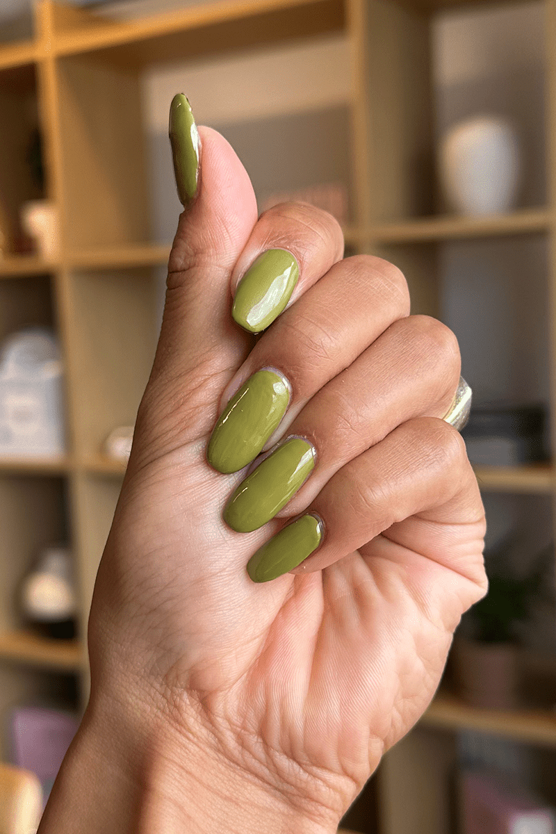 Olive · 486