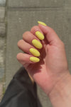 Summer Grass 15ml · 241