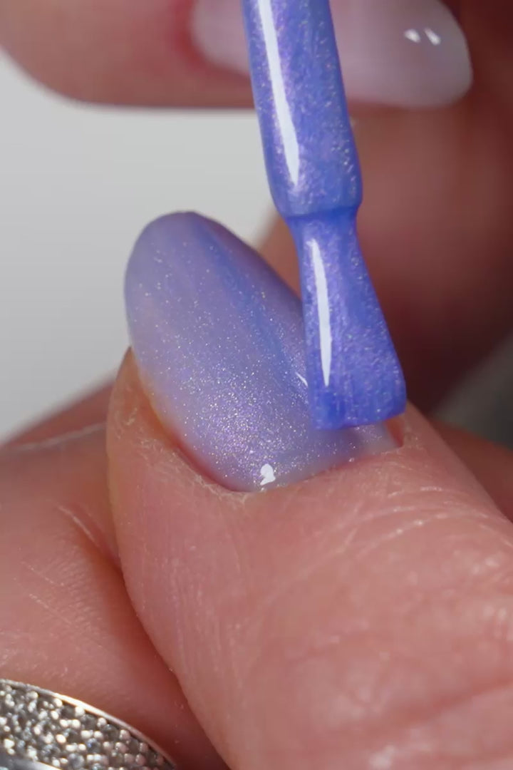 Sea Pearl · 464