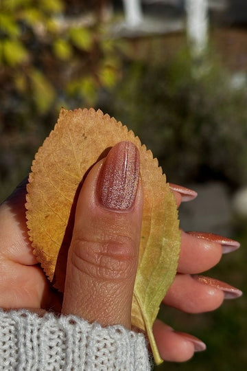Rusty Shimmer Look