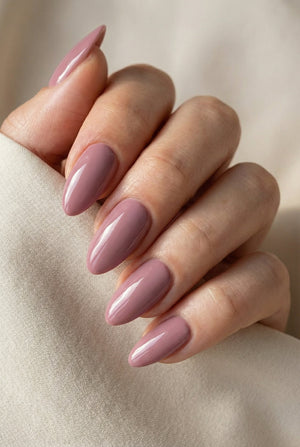 Soft Vintage · 532