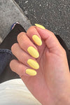 Summer Grass 15ml · 241