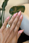 Toffee Rose · 476