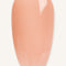 Toffee Rose · 476