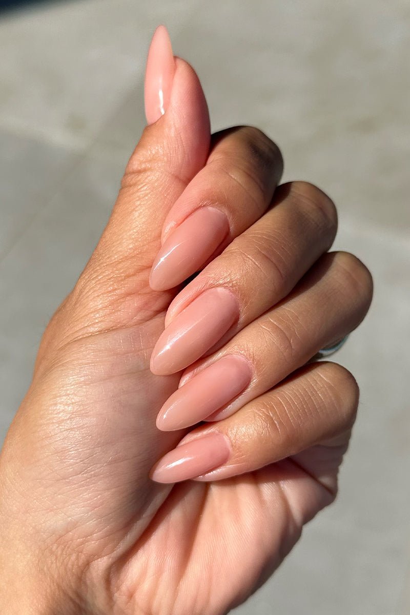 Toffee Rose · 476